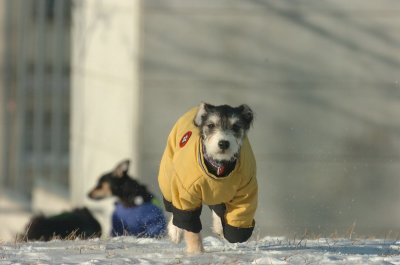 Feb9_07_199.JPG