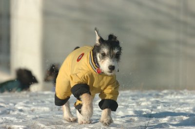 Feb9_07_200.JPG