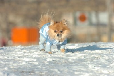 Feb9_07_202.JPG