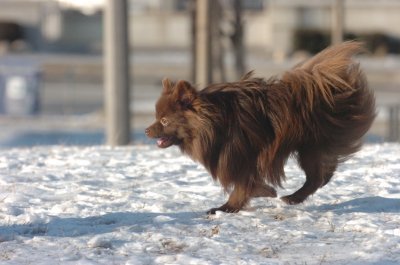Feb9_07_204.JPG