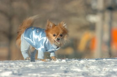 Feb9_07_205.JPG
