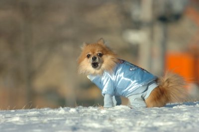 Feb9_07_206.JPG