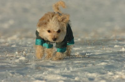 Feb9_07_211.JPG