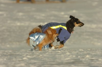 Feb9_07_212.JPG