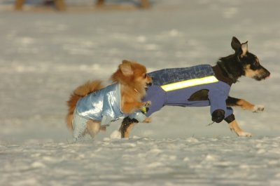 Feb9_07_213.JPG