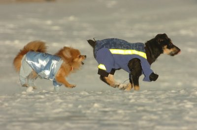 Feb9_07_214.JPG