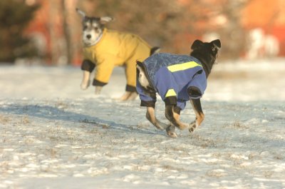 Feb9_07_215.JPG