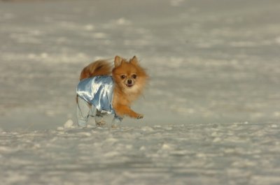 Feb9_07_216.JPG