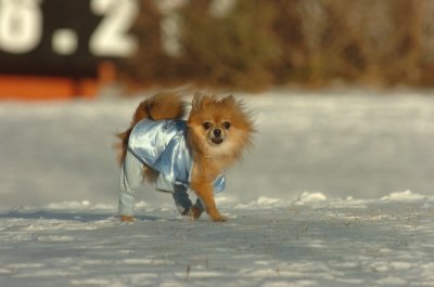 Feb9_07_217.JPG