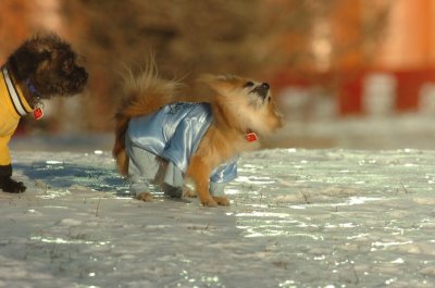 Feb9_07_219.JPG