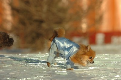 Feb9_07_221.JPG