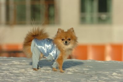 Feb9_07_222.JPG