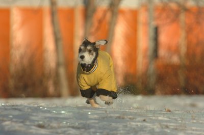 Feb9_07_224.JPG