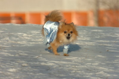 Feb9_07_226.JPG