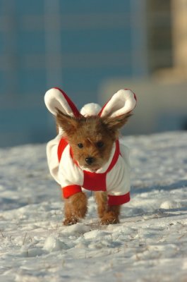 Feb9_07_228.JPG
