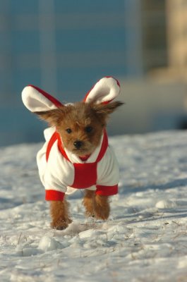 Feb9_07_229.JPG