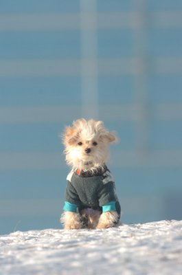 Feb9_07_231.JPG