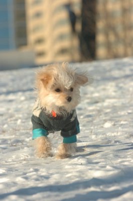 Feb9_07_233.JPG