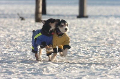Feb9_07_238.JPG