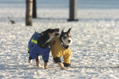 Feb9_07_239.JPG