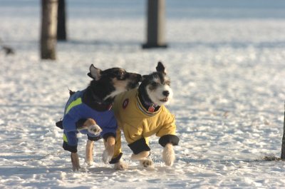 Feb9_07_240.JPG