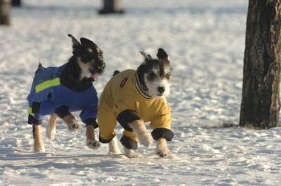 Feb9_07_241.JPG
