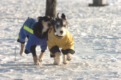 Feb9_07_242.JPG