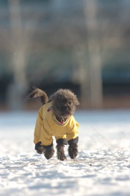 Feb9_07_243.JPG