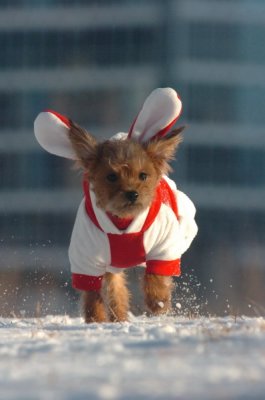 Feb9_07_245.JPG