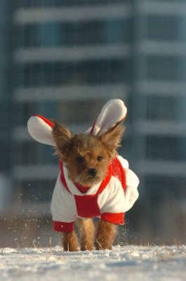 Feb9_07_246.JPG