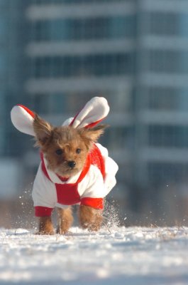 Feb9_07_247.JPG