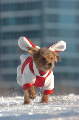 Feb9_07_248.JPG