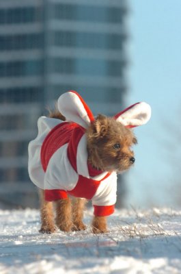 Feb9_07_249.JPG
