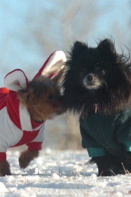 Feb9_07_250.JPG