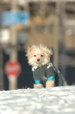 Feb9_07_251.JPG
