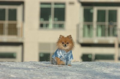Feb9_07_253.JPG