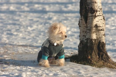 Feb9_07_255.JPG