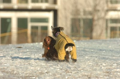 Feb9_07_257.JPG
