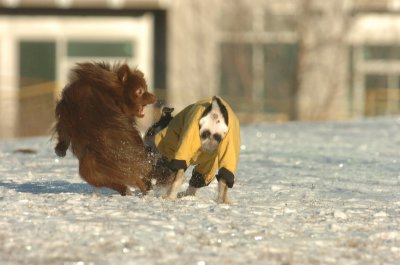 Feb9_07_258.JPG
