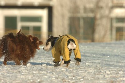 Feb9_07_259.JPG