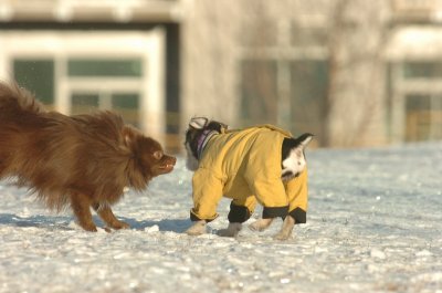 Feb9_07_260.JPG