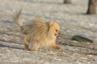 Feb9_07_261.JPG