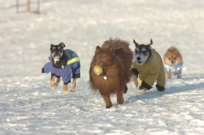 Feb9_07_263.JPG