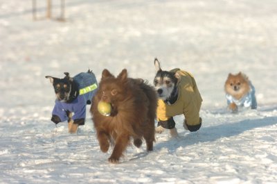 Feb9_07_264.JPG