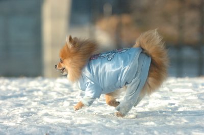Feb9_07_265.JPG