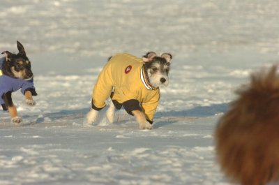 Feb9_07_266.JPG