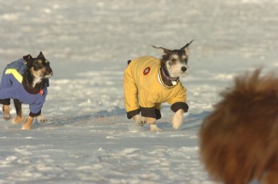 Feb9_07_267.JPG