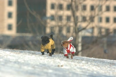 Feb9_07_096.JPG