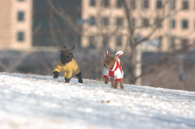Feb9_07_097.JPG