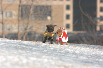 Feb9_07_098.JPG